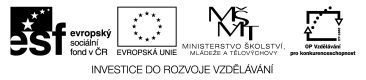 Evropský sociální fond v ČR